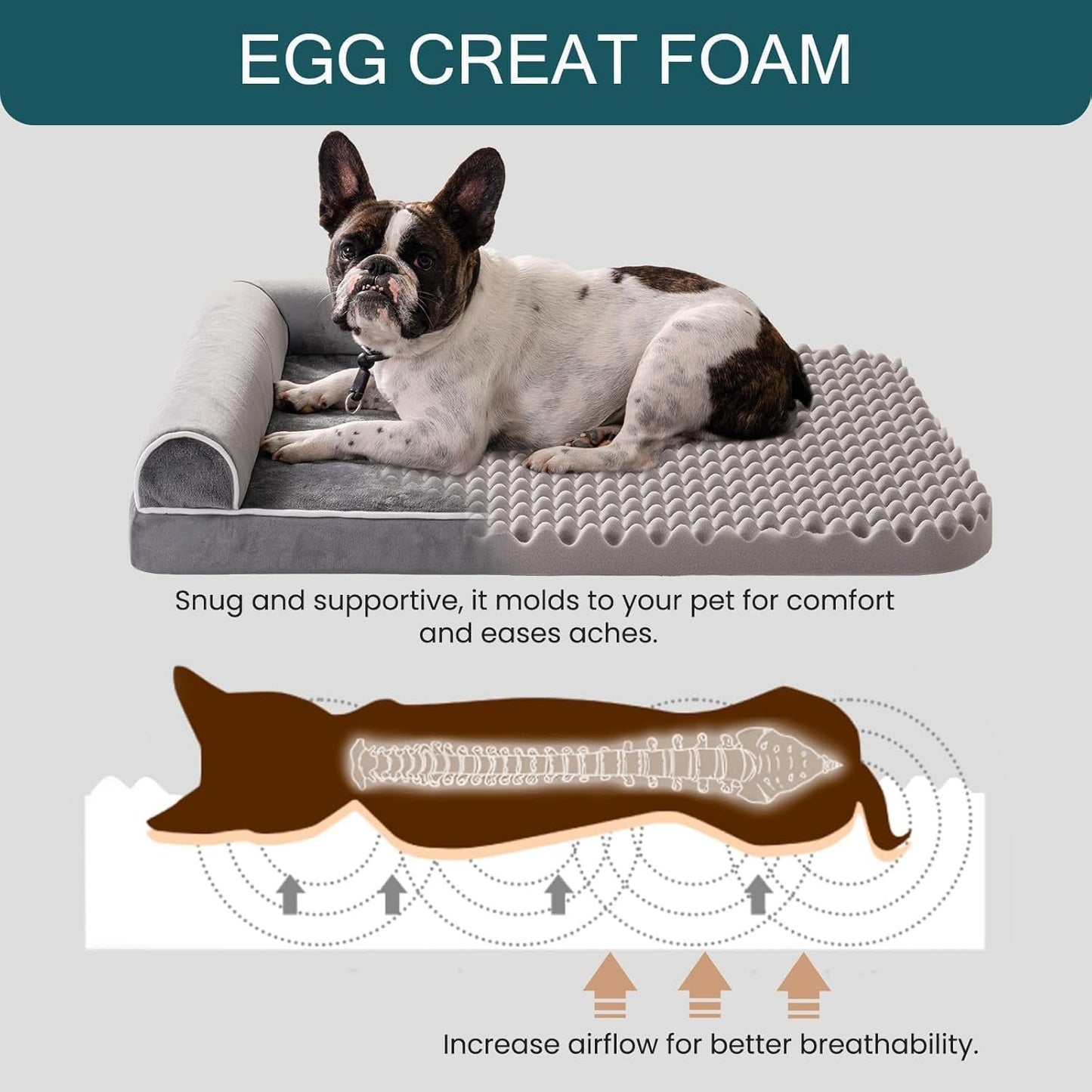 Orthopedic Pet Bed