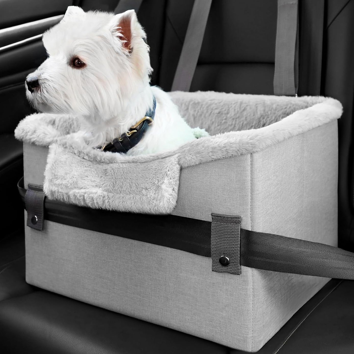 Portable Pet Booster Seat With Clip-On Safety Leash