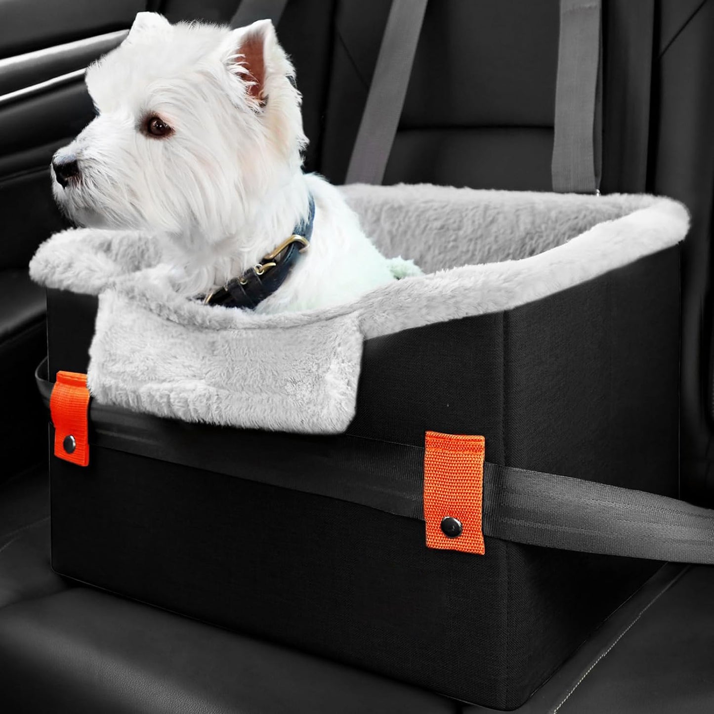Portable Pet Booster Seat With Clip-On Safety Leash