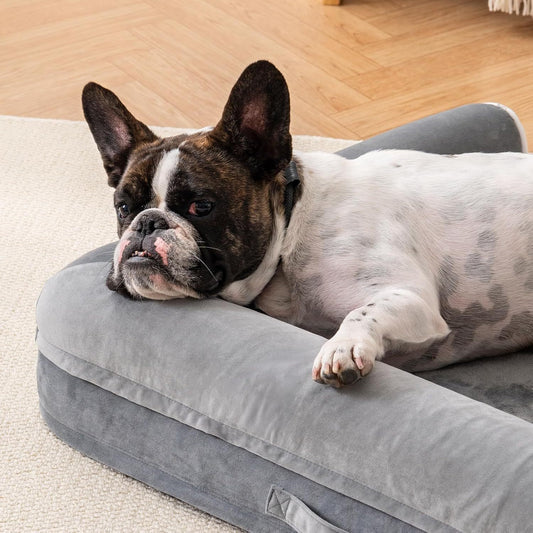 Orthopedic Pet Bed