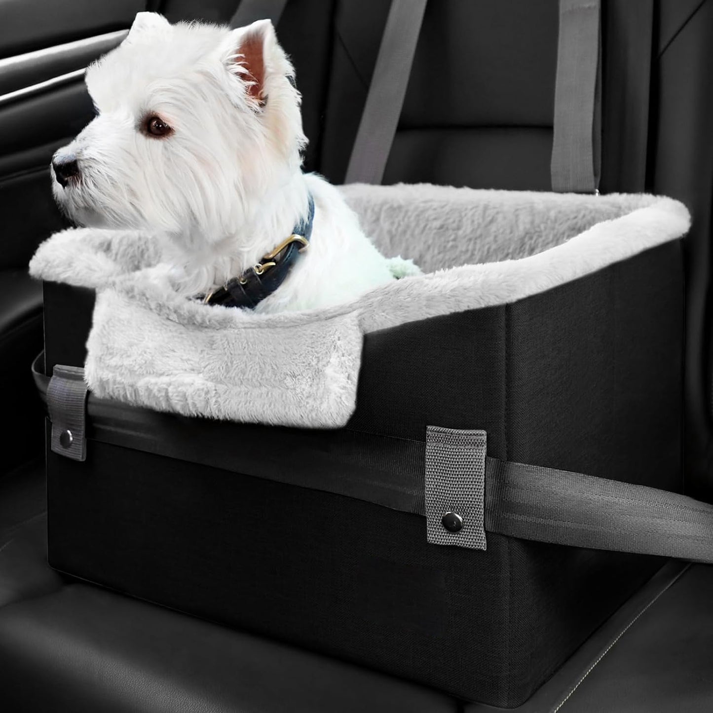 Portable Pet Booster Seat With Clip-On Safety Leash